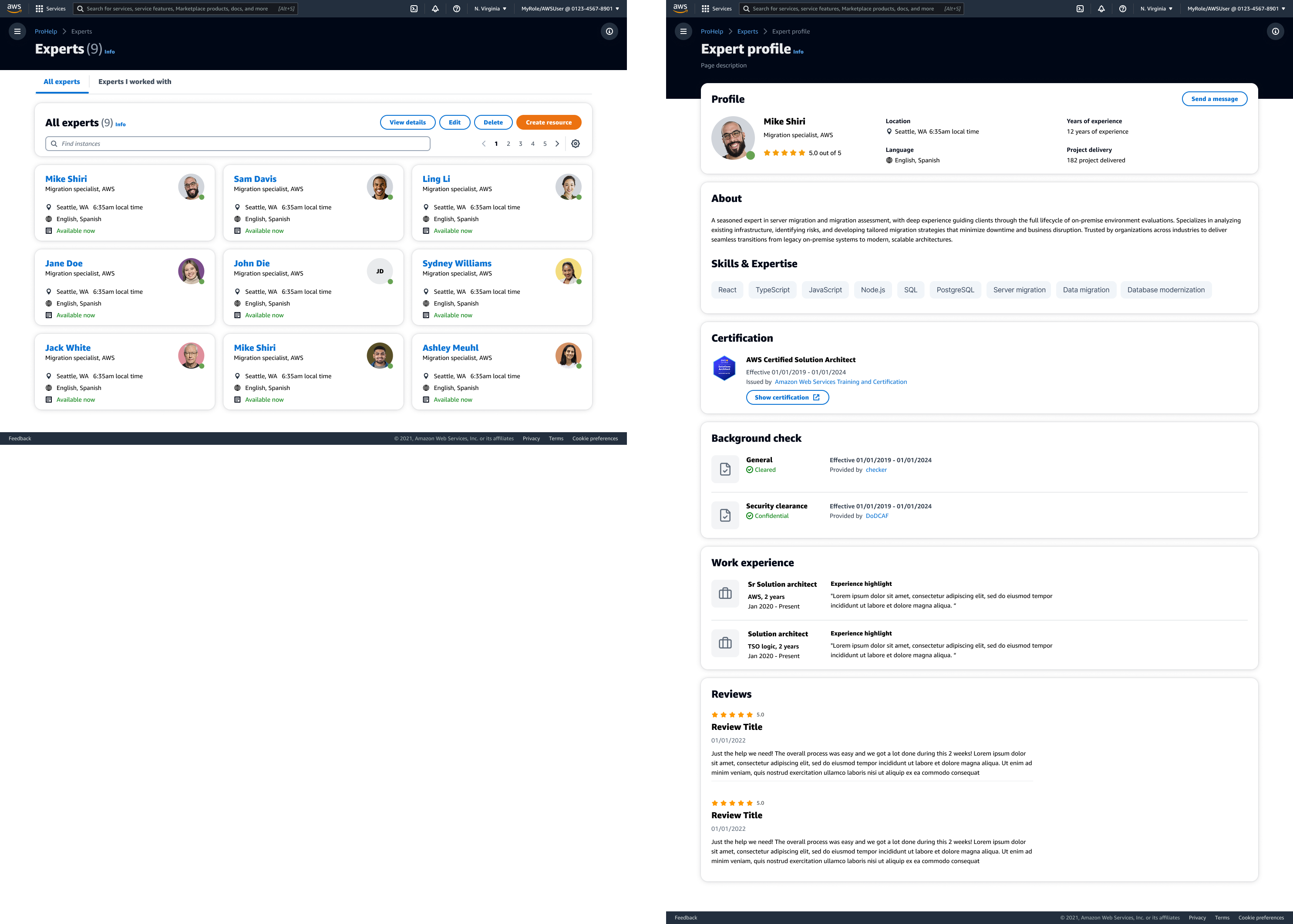Expert profile showing timezone, skill, AWS services